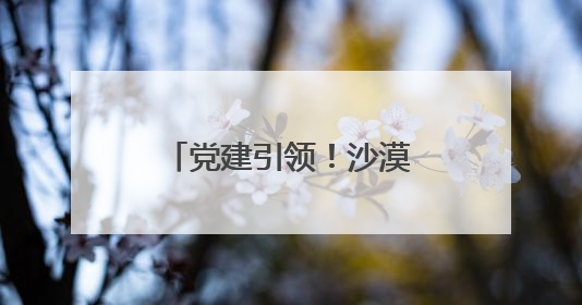党建引领！沙漠边缘崛起超百个亿元产值连队