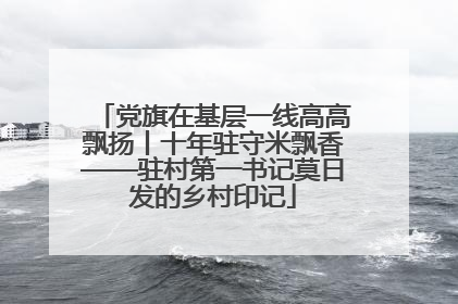 党旗在基层一线高高飘扬丨十年驻守米飘香——驻村第一书记莫日发的乡村印记