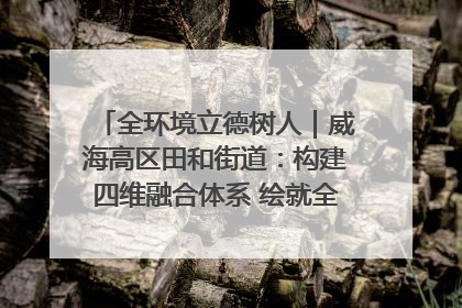 全环境立德树人｜威海高区田和街道：构建四维融合体系 绘就全环境立德树人新画卷