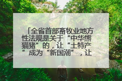 全省首部畜牧业地方性法规是关于“中华熊猫猪”的，让“土特产”成为“新国潮”，让“农产品”升格为“城市IP”