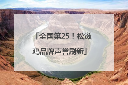 全国第25！松滋鸡品牌声誉刷新