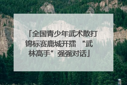 全国青少年武术散打锦标赛鹿城开擂 “武林高手”强强对话