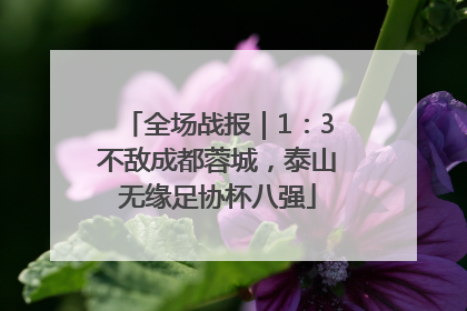 全场战报｜1：3不敌成都蓉城，泰山无缘足协杯八强