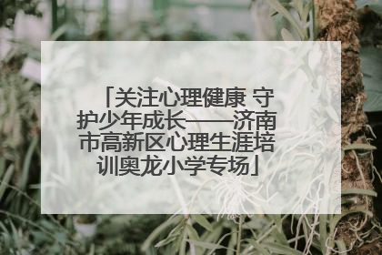 关注心理健康 守护少年成长——济南市高新区心理生涯培训奥龙小学专场