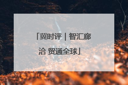 冀时评｜智汇廊洽 贸通全球