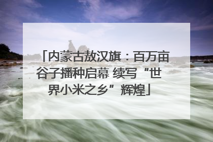内蒙古敖汉旗：百万亩谷子播种启幕 续写“世界小米之乡”辉煌