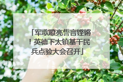 军歌嘹亮誓言铿锵！英德下太镇基干民兵点验大会召开
