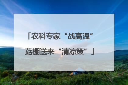 农科专家“战高温” 菇棚送来“清凉策”