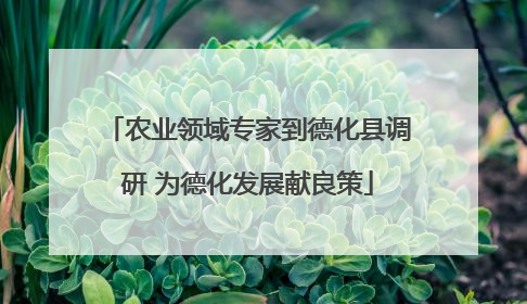 农业领域专家到德化县调研 为德化发展献良策