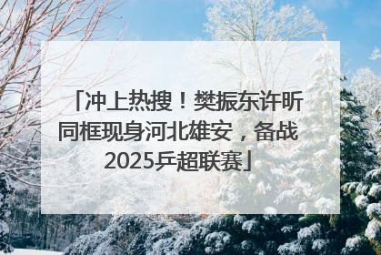 冲上热搜！樊振东许昕同框现身河北雄安，备战2025乒超联赛