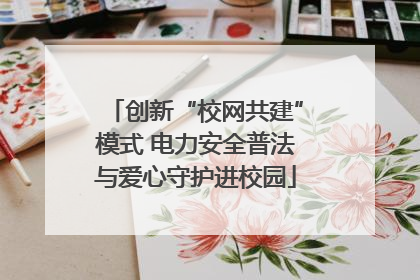 创新“校网共建”模式 电力安全普法与爱心守护进校园