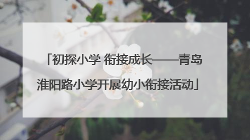 初探小学 衔接成长——青岛淮阳路小学开展幼小衔接活动