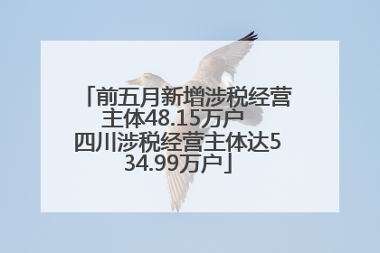 前五月新增涉税经营主体48.15万户 四川涉税经营主体达534.99万户