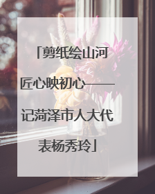 剪纸绘山河 匠心映初心——记菏泽市人大代表杨秀玲
