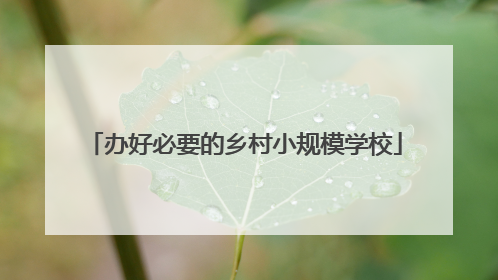 办好必要的乡村小规模学校