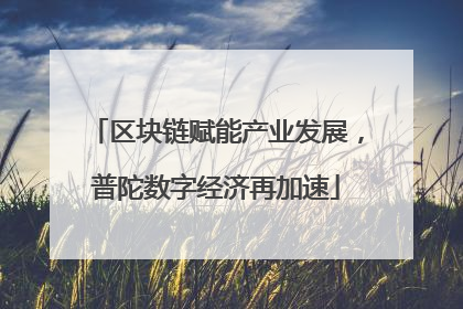 区块链赋能产业发展，普陀数字经济再加速