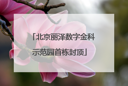 北京丽泽数字金科示范园首栋封顶