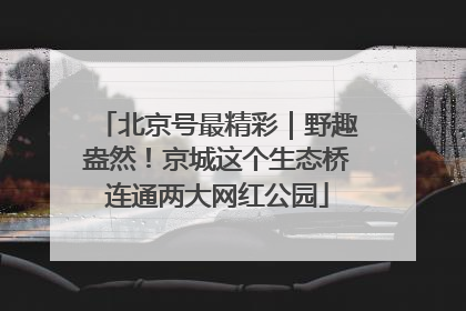 北京号最精彩｜野趣盎然！京城这个生态桥连通两大网红公园