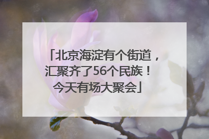 北京海淀有个街道，汇聚齐了56个民族！今天有场大聚会