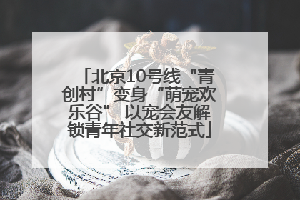 北京10号线“青创村”变身“萌宠欢乐谷” 以宠会友解锁青年社交新范式