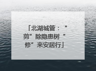 北湖城管：“剪”除隐患树“修”来安居行