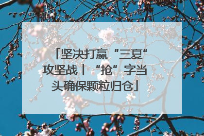 坚决打赢“三夏”攻坚战丨“抢”字当头确保颗粒归仓