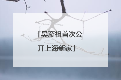 吴彦祖首次公开上海新家