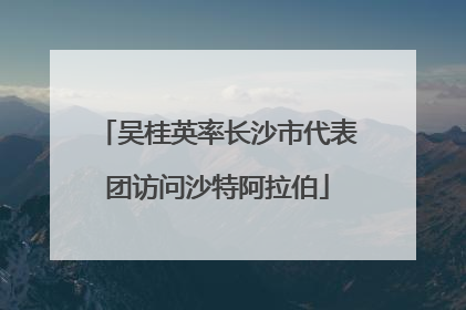 吴桂英率长沙市代表团访问沙特阿拉伯