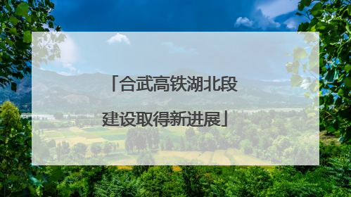 合武高铁湖北段建设取得新进展