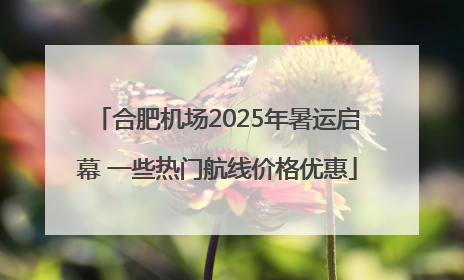 合肥机场2025年暑运启幕 一些热门航线价格优惠