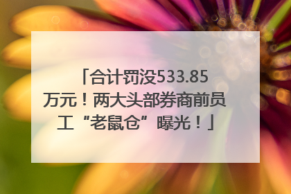 合计罚没533.85万元！两大头部券商前员工“老鼠仓”曝光！