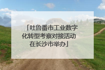 吐鲁番市工业数字化转型考察对接活动在长沙市举办