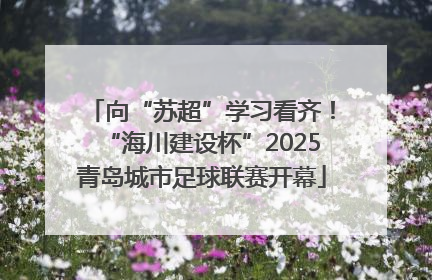 向“苏超”学习看齐！“海川建设杯”2025青岛城市足球联赛开幕
