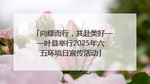向绿而行，共赴美好——叶县举行2025年六五环境日宣传活动