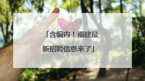 含编内！福建最新招聘信息来了