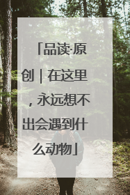 品读·原创｜在这里，永远想不出会遇到什么动物