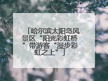 哈尔滨太阳岛风景区“阳光彩虹桥”带游客“漫步彩虹之上”