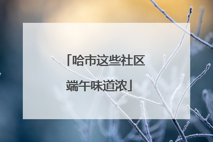 哈市这些社区端午味道浓