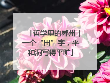 哲学里的郴州｜一个“田”字，平和洞写得平旷