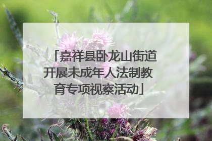 嘉祥县卧龙山街道开展未成年人法制教育专项视察活动
