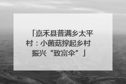嘉禾县普满乡太平村：小菌菇撑起乡村振兴“致富伞”