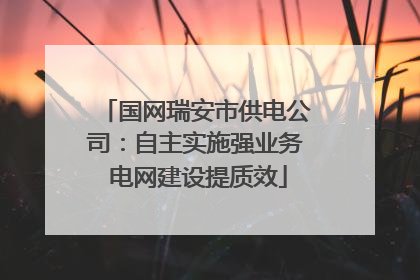 国网瑞安市供电公司：自主实施强业务 电网建设提质效