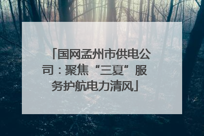 国网孟州市供电公司：聚焦“三夏”服务护航电力清风