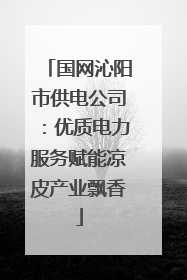 国网沁阳市供电公司：优质电力服务赋能凉皮产业飘香