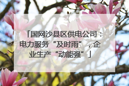 国网沙县区供电公司：电力服务“及时雨”，企业生产“动能强”
