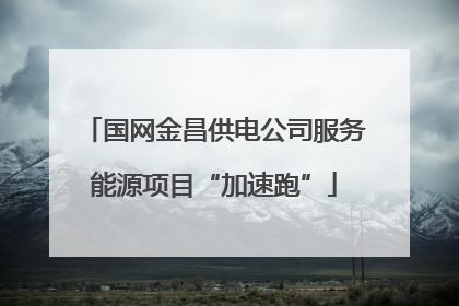 国网金昌供电公司服务能源项目“加速跑”