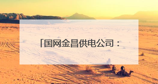 国网金昌供电公司：从积淀中破茧 蝶变社会责任实践新路径
