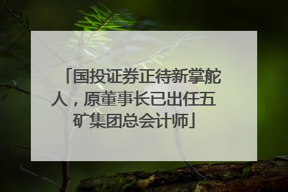 国投证券正待新掌舵人，原董事长已出任五矿集团总会计师