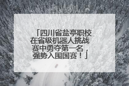 四川省盐亭职校在省级机器人挑战赛中勇夺第一名，强势入围国赛！