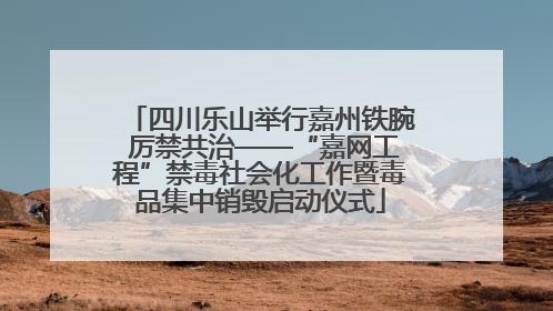 四川乐山举行嘉州铁腕 厉禁共治——“嘉网工程”禁毒社会化工作暨毒品集中销毁启动仪式